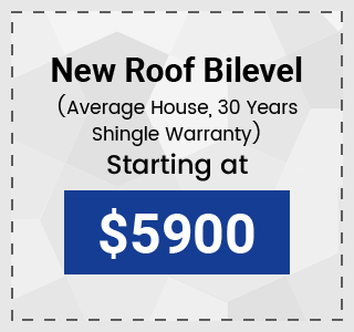 New Roof Bilever